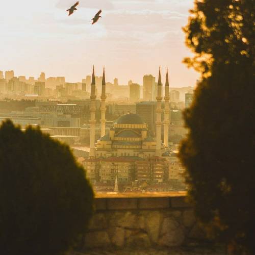  خسته ام من خسته ام من مثل مرغ بالو پر شکسته ام من